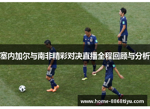 塞内加尔与南非精彩对决直播全程回顾与分析